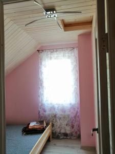 Igor House
