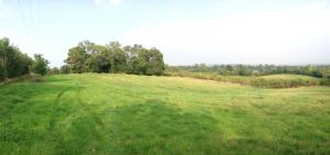 The Apple Farm Glamping