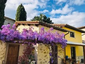 Il Cortile delle Rose Holiday House - Ponte Valleceppi