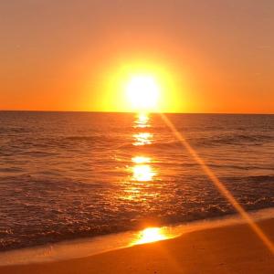 Quinta Barracuda Albufeira