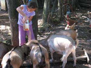 Campings LES PIERRES CHAUDES : photos des chambres