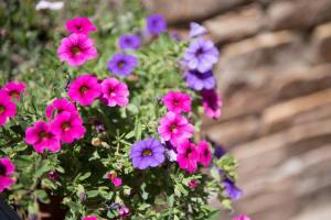 Dimitreli Venetia Studios