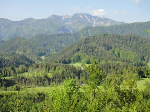 Gasthof Zum Niederhaus - Familie Perthold