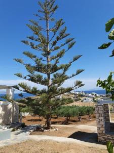 Anthoula's Sea View Apartment Paros Greece
