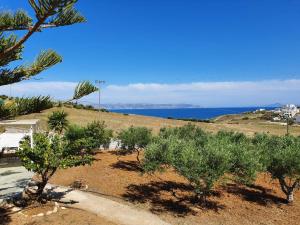 Anthoula's Sea View Apartment Paros Greece