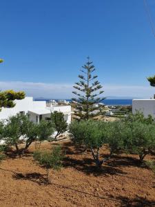 Anthoula's Sea View Apartment Paros Greece