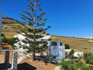 Anthoula's Sea View Apartment Paros Greece