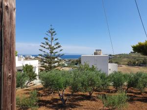Anthoula's Sea View Apartment Paros Greece