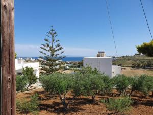 Anthoula's Sea View Apartment Paros Greece