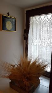 Casa del Borgo-San Mauro Forte