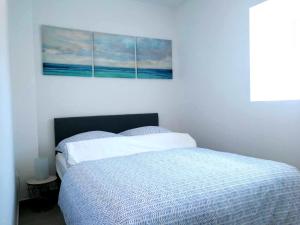 Apartment Seashell