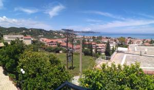 Olive Tree Apartments Zakynthos Greece