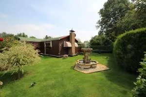 My Dream - Oude Nieuwland