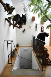 Ekofarma Horní Chrášťany