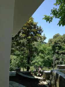 House in the forest Pelion Greece