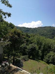 House in the forest Pelion Greece