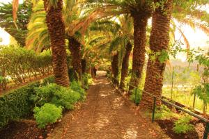 Rua das Pretas 15, 9000-049 Funchal, Madeira.