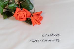 Loukia Apartments Sifnos Greece