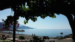 Oriental Bay Chania Greece