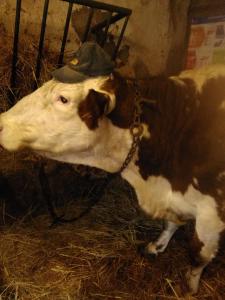 Sejours a la ferme ferme pedagogique des pennetieres : photos des chambres