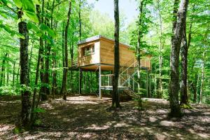 Treehouse Lika 2