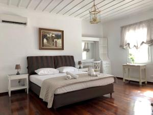 Chalet Neoclassical mansion with view and garden Andro Grecia