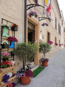 Hotel Domus Pacis Loreto- Casa per ferie Loreto Itálie