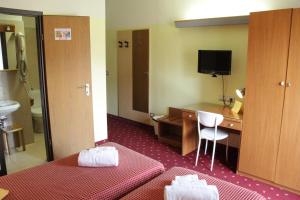 Twin Room room in Hotel Lugano