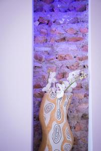 Nerva Accommodation Cavour