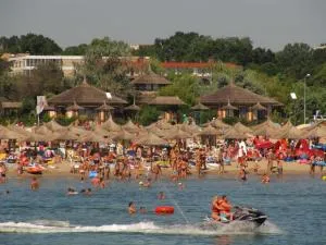 Complex Amazon - Neptun