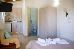 Apartment - Ground Floor room in Villa Filimon