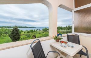 Apartments Saladinka