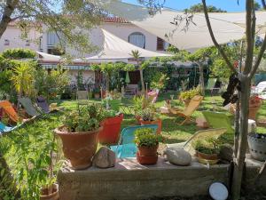 Hotels Hotel Punta e Mare des Chambres ou des Appartements T2 : photos des chambres