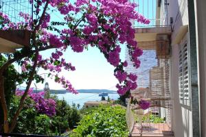 Apartments and rooms with parking space Hvar - 4613