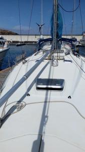 Velero MissTick,Gibsea 472