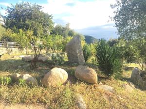 S'Imbragu Farm B&B img80