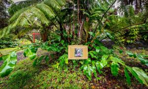 Volcano Mist Cottage