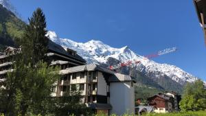 Mont Blanc View Chamonix Apartment