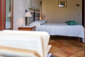 Il Leccio img11