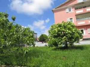 Green garden apartments