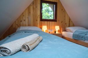 Dren - Banjska stena