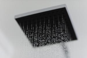 Hotel Waldegg - Adults only