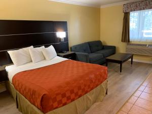 Three-Bedroom Suite room in Olive Tree Inn & Suites
