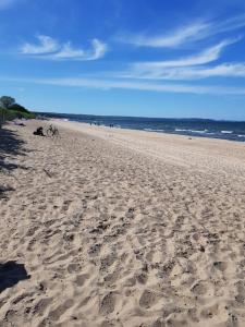 Sychta Gdańsk Brzeźno blisko morza