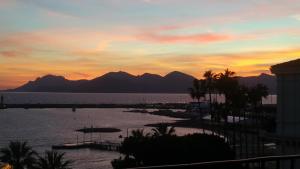 Cannes croisette