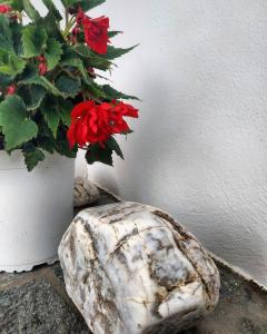 Didymes Studios Tinos Greece