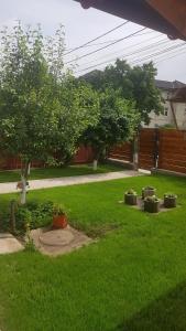 Casa Andrei Techirghiol