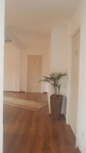 Casa Andrei Techirghiol