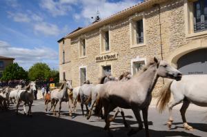 Hotels Hotel O’Banel : photos des chambres