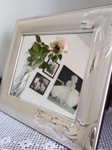 The Roses Garden img27